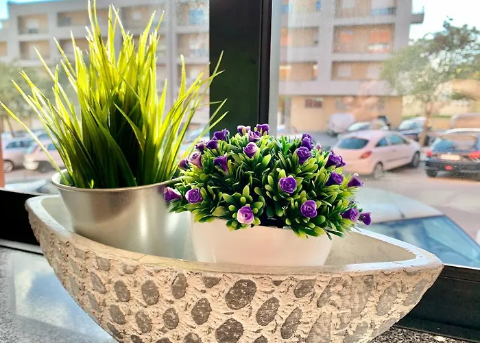 The Of Minho-campus Gualtar 1 * Брага